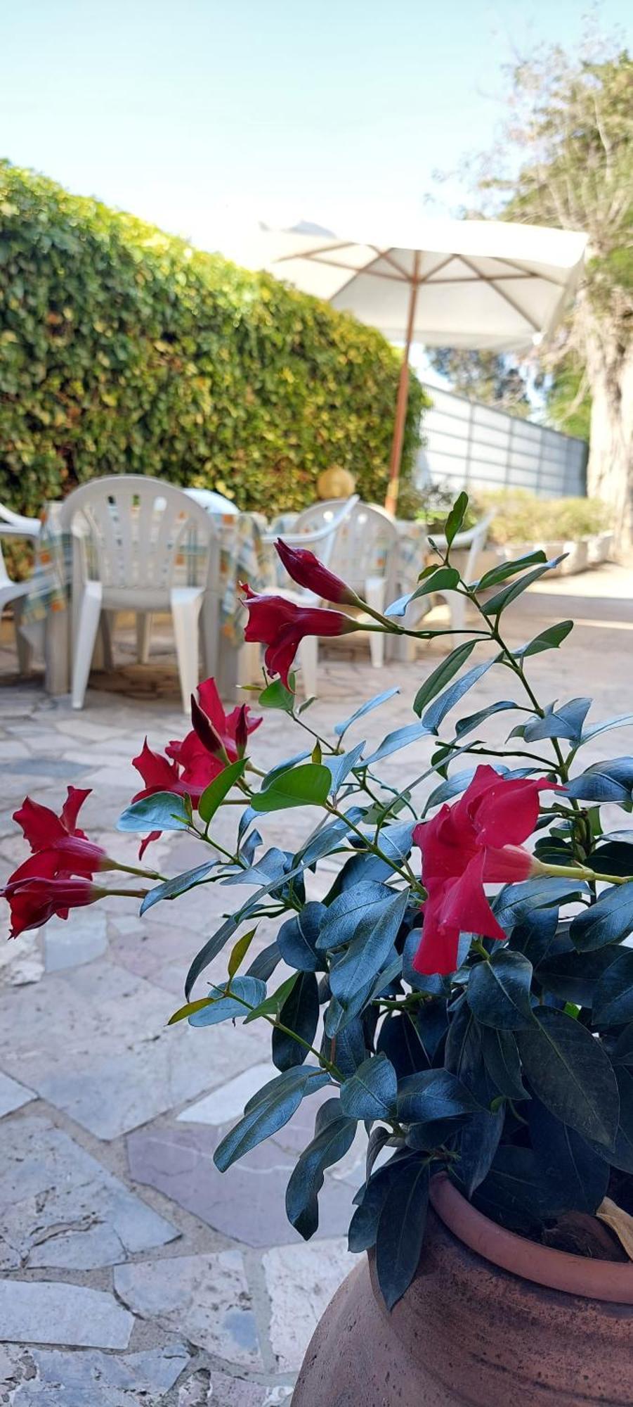 Hotel Lea Grosseto Dış mekan fotoğraf